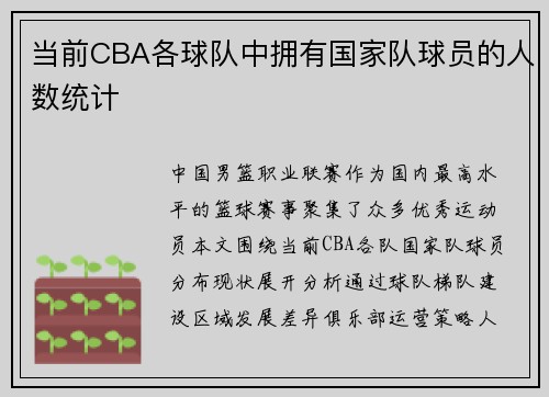 当前CBA各球队中拥有国家队球员的人数统计